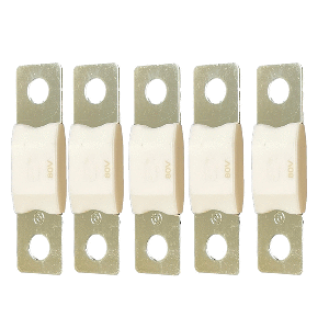 Victron MEGA Fuse 250A/80V (Package of 5 Pieces)