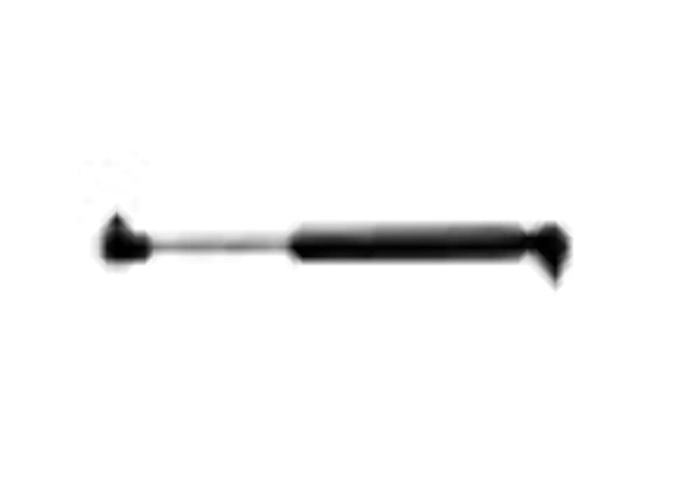 Ams Automotive 6104 Hood Lift Support