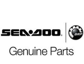 Sea-Doo Spark Mirror 295100748 New Oem