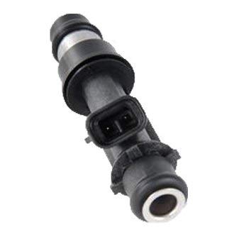 Acdelco Gm Original Equipment 96386780 Multi-Port Fuel Injector Assembly