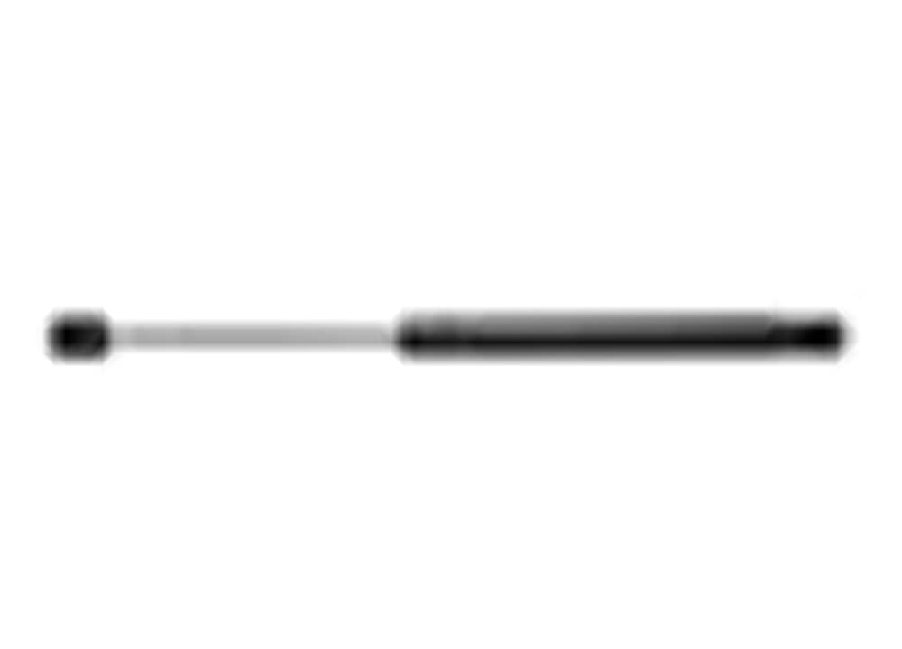 Ams Automotive 6123 Hood Lift Support