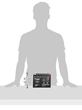 Yuasa YUAM7250H YTX24HL Factory Activated H Series AGM Battery