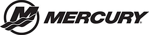 Mercury Repair Kit