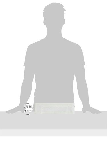 Factory Effex 09-94110 White 1' (Kawasaki) Die-Cut Sticker