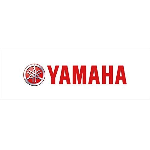 Yamaha Motor 7Td-14451-00-00 Rv Air Cleaner, 3000W By Yamaha