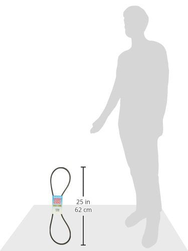 Dayco 17550 Fan Belts , Black