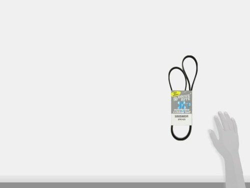 Dayco 5060560Dr Serpentine Belt