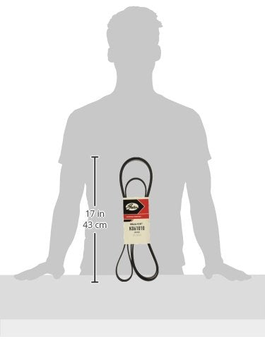 Gates K061010 Micro-V Serpentine Drive Belt