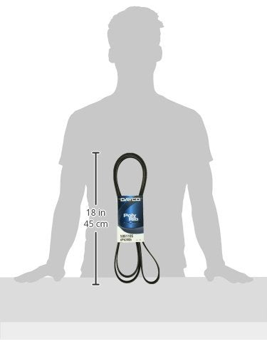 Dayco 5061105 Serpentine Belt