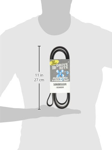 Dayco 5060855Dr Serpentine Belt