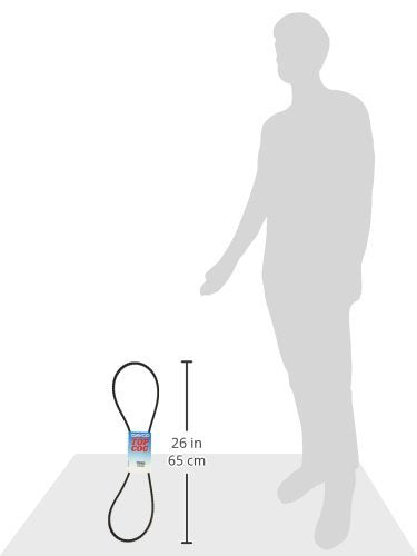 Dayco 15565 Fan Belts