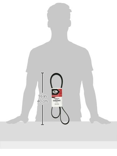 Gates Micro-V Serpentine Drive Belt