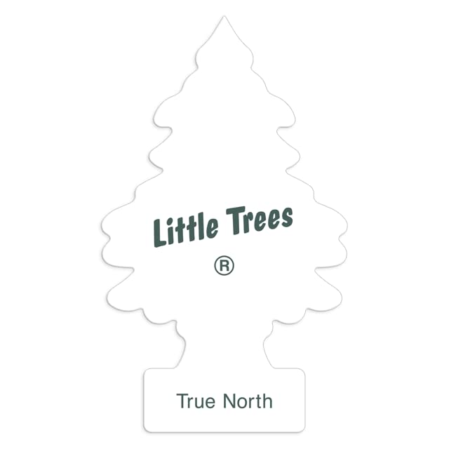 Little Trees Car Air Freshener | Hanging Paper Tree For Home Or Car | True North | 3 Pack
