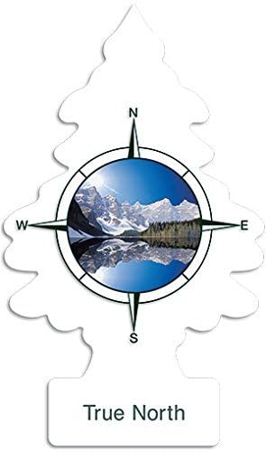 Little Trees True North Scent Air Freshener, 24 Pack