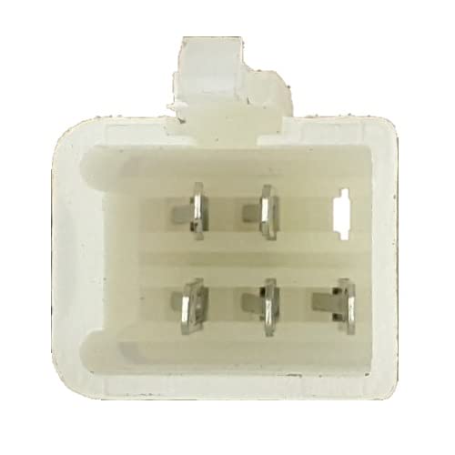 Stator Magneto 6-coil - 5 Wire - For 110cc 125cc 140cc Apollo Dirt Bikes with lights Plug and Play (With Plate)