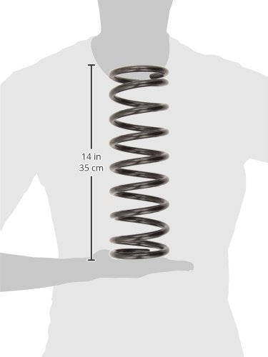 Moog 81003 Coil Spring Set For Ford Focus