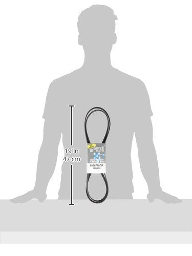 Dayco 5050380Dr Serpentine Belt