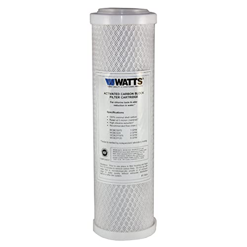 FlowPur Watts WCBCS-975RV RV Trailer Canister Filter - Carbon Fiber, 1 Count Replacement