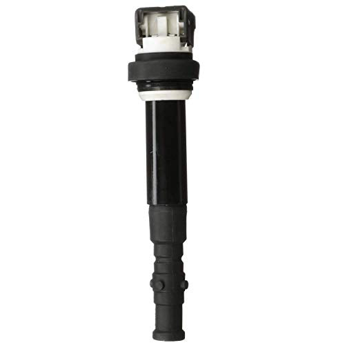 Delphi Gn10563 Ignition Coil