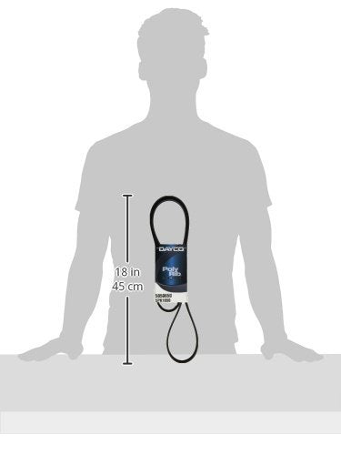 Dayco 5050650 Serpentine Belt , Black