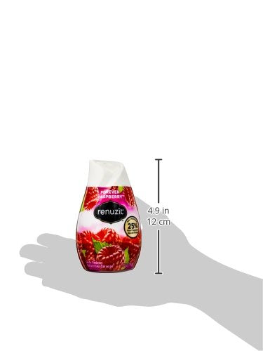 Renuzit 03667 7 Oz Raspberry Adjustable Aroma Cone Air Freshener