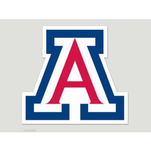 Arizona 8X8 Color Die Cut Window Decal