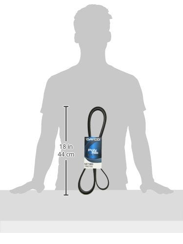 Dayco 5071065 Serpentine Belt