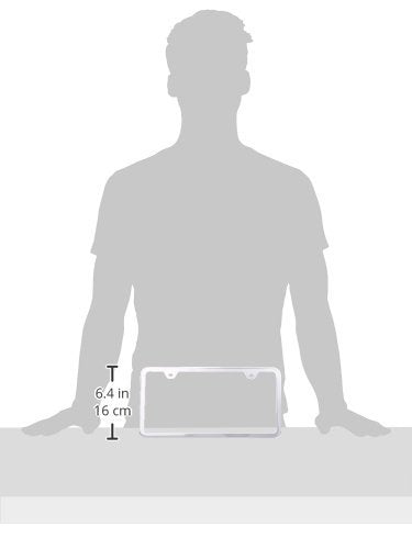Au-Tomotive Gold Lf449C Never Rust Plain Plates