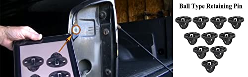 Carbbia 10PCS Tail Light Assembly Grommets Fastener Retainer Clips Compatible with 2007 08 09 10 11 12 13 Dodge Ram Truck Pick-U