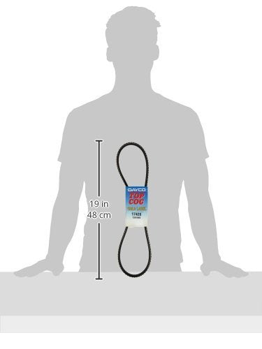 Dayco 17420 Fan Belts , Black