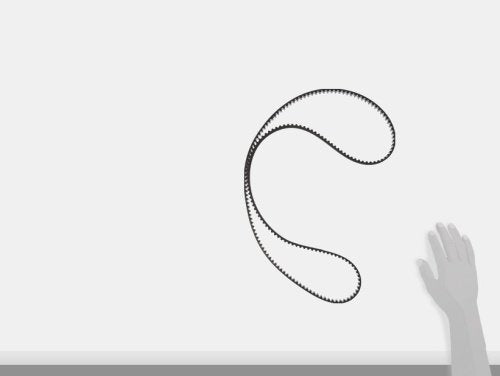 Dayco 95329 Timing Belt, Black