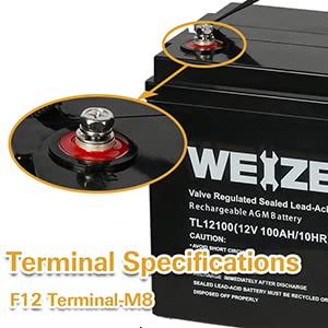 Weize 12V 100Ah Deep Cycle Battery, Group Size 31 Battery For Rv, Solar, Camping, Cabin, Marine And Off-Grid System, 1150A Max D