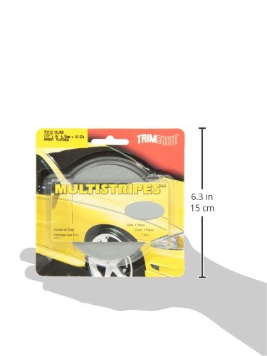 Trimbrite T0310 Multistripe 1/4'''' Tap Slvr