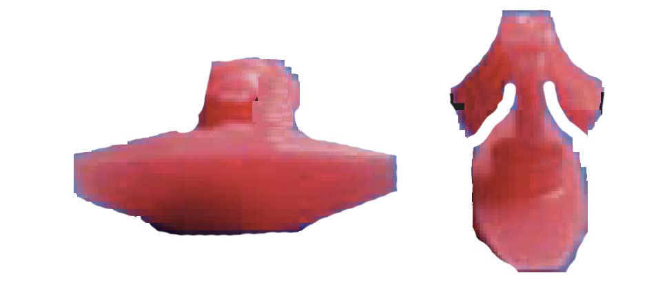 Autobahn88 Retainer Clip For Skirt Panel, Compatible With Hyundai (Oem: 877562W000) (Pack Of 20)