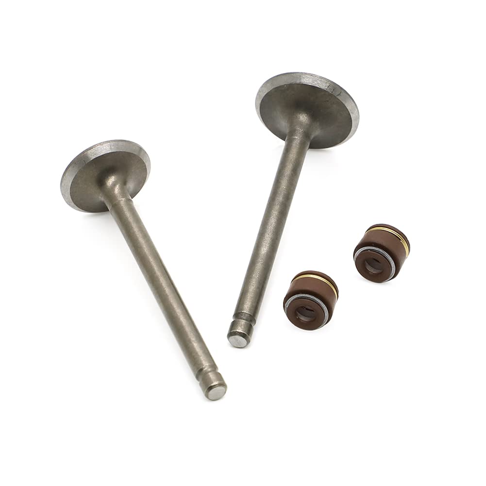 Autovic Valve Set Intake Exhaust Valves With Seals For Yamaha Atv Badger Realtree Hunter Champ Raptor Yfm80R Yfm80W Yfm100 Replace 22K-12111-03-00 22K-12121-03-00