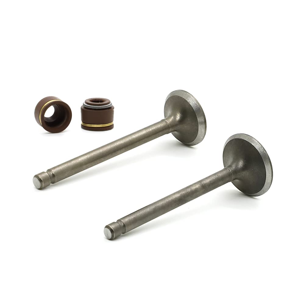 Autovic Valve Set Intake Exhaust Valves With Seals For Yamaha Atv Badger Realtree Hunter Champ Raptor Yfm80R Yfm80W Yfm100 Replace 22K-12111-03-00 22K-12121-03-00