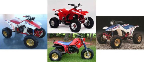 250Pc Specbolt Fasteners Brand Bolt Kit: Fits Trx250R Fourtrax & Atc250R Quad And Three Wheeler Trx 250R Atc