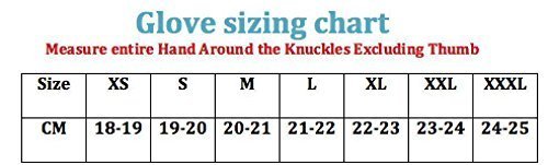 A&H Apparel Leather Motorcycle Glove Genuine Cowhide Fingerless Leather Driving Gloves (X-Large)