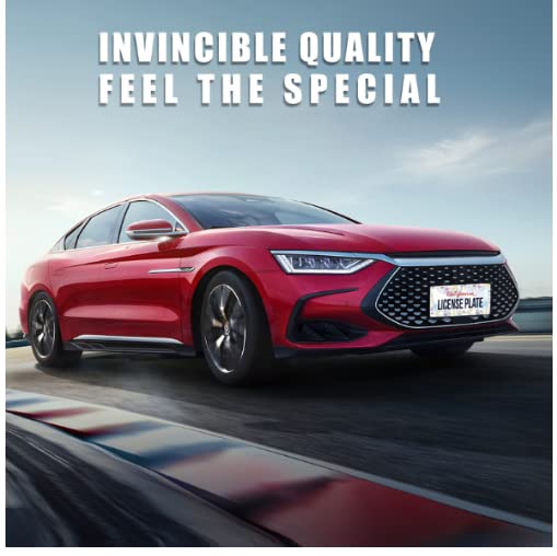 Beautiful Floral Bluebell Chamomile Flower License Plate Frame Car License Plate Stainless Steel Accessory License Plate Decor w