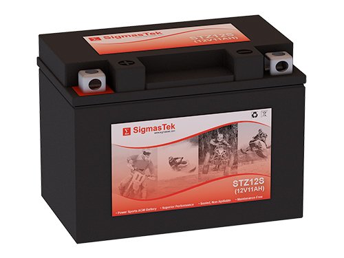 YTZ12S Motorcycle Battery (Replacement)