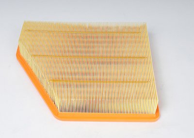 Acdelco Gm Original Equipment A3137C Air Filter