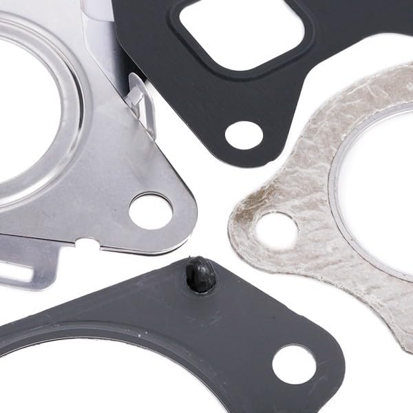 Elring 524.281 Gasket Set, Oil Cooler