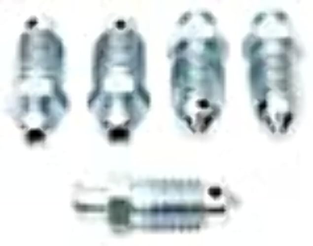 Raybestos S22660 Professional Grade Brake Bleeder, (Pack Of 10)