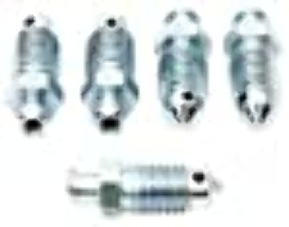 Raybestos S22660 Professional Grade Brake Bleeder, (Pack of 10)