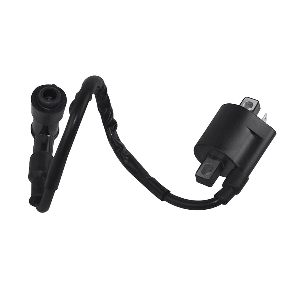 Windance High Performance Racing Ignition Coil For Yamaha Pw50 Pw80 Gy6 50Cc 125Cc 150Cc 200Cc D8Tc Taoto Motorcycle Atv Scooter Moped Go Kart