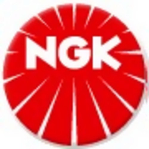 Ngk 1406 Spark Plug