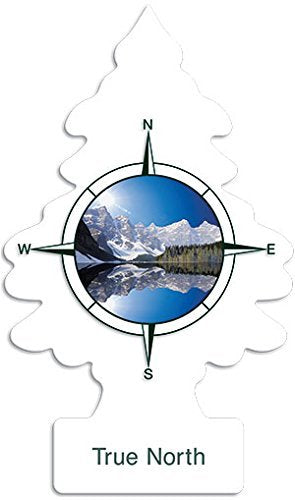 Little Trees Air Fresheners, True North (Pack Of 12)