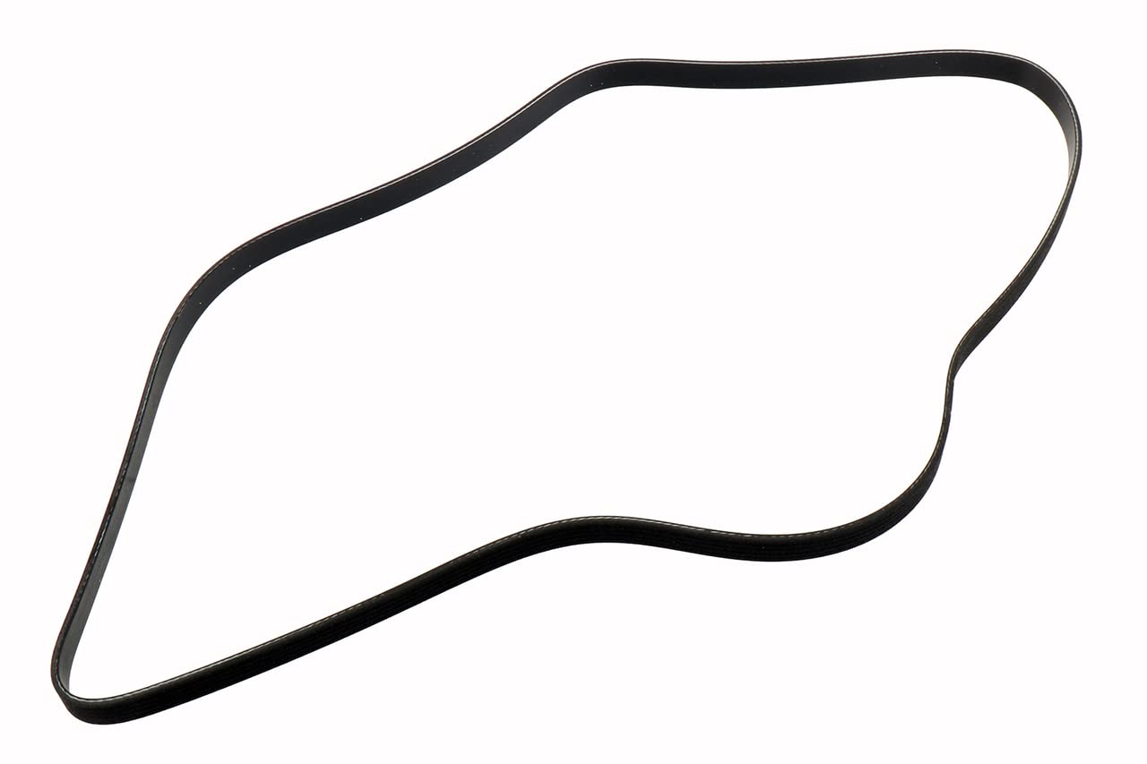 Acdelco Gm Original Equipment 55578811 V-Ribbed Serpentine Belt , Black