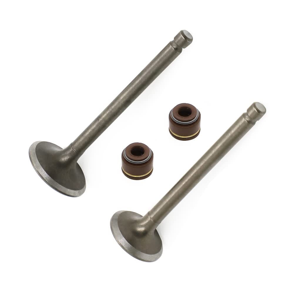 Autovic Valve Set Intake Exhaust Valves With Seals For Yamaha Atv Badger Realtree Hunter Champ Raptor Yfm80R Yfm80W Yfm100 Repla