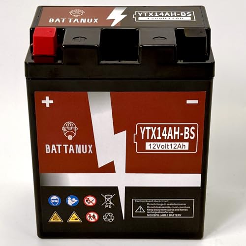 YTX14AH-BS Battery & Motorcycle Battery, Sealed SLA/AGM 12V12Ah ATV/UTV/Snowmoble/Motor bike Battery Maintenance Free & No tools